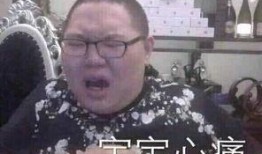 宝强哥最新爆料新闻直播,揭秘娱乐圈惊人内幕